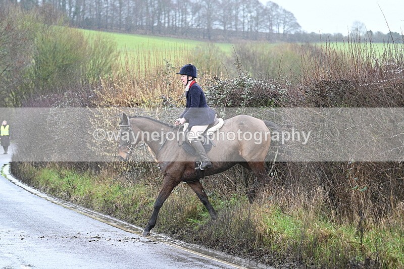 WJ7_7034 - Crossing A Camera