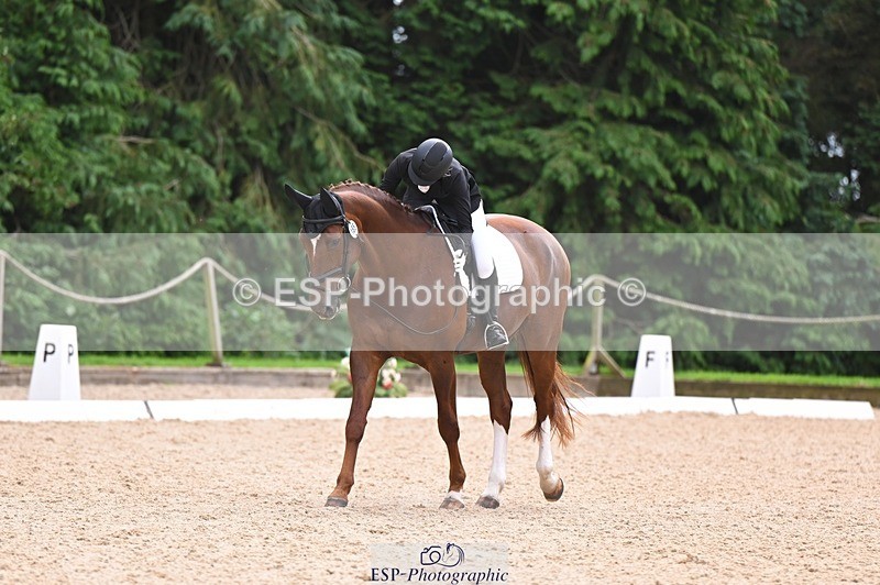 240809-122024-00750 - 185-Daisy.Hedges-Felicia.v