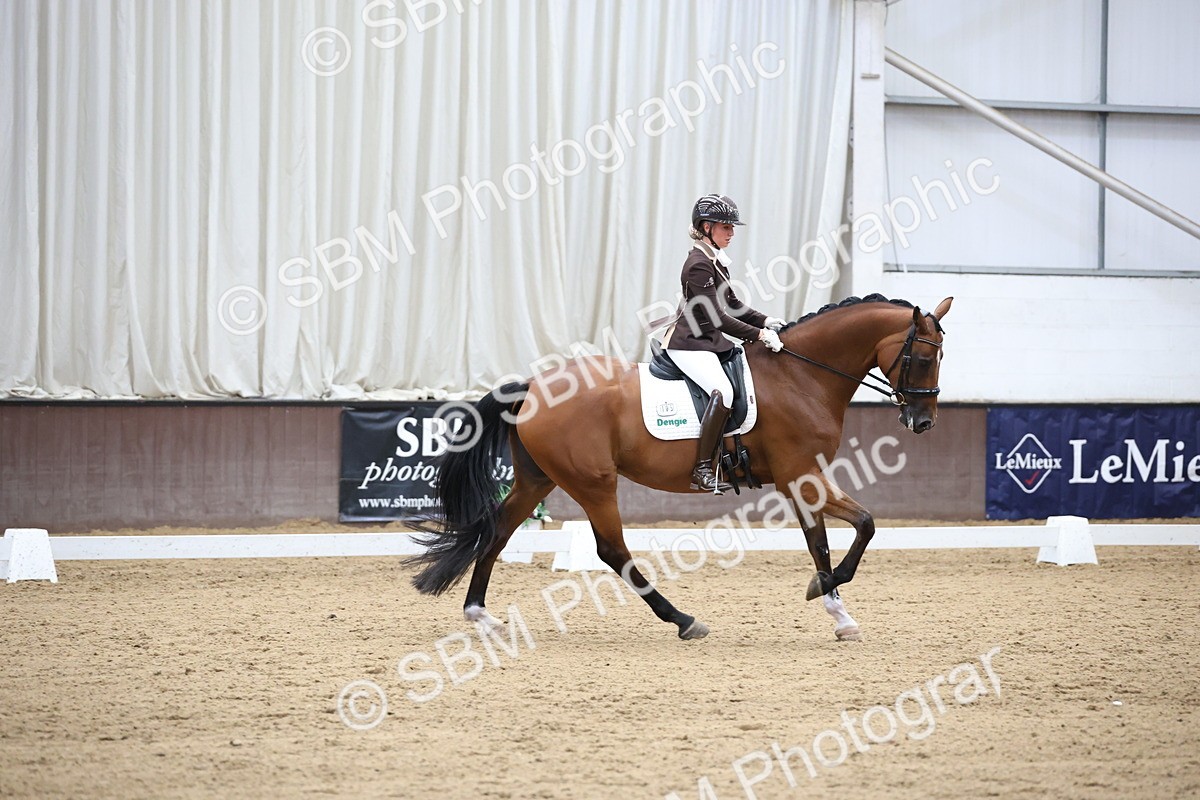 SBM_003426 - Class 5 - Novice 6 Gold - 13.05-14.00