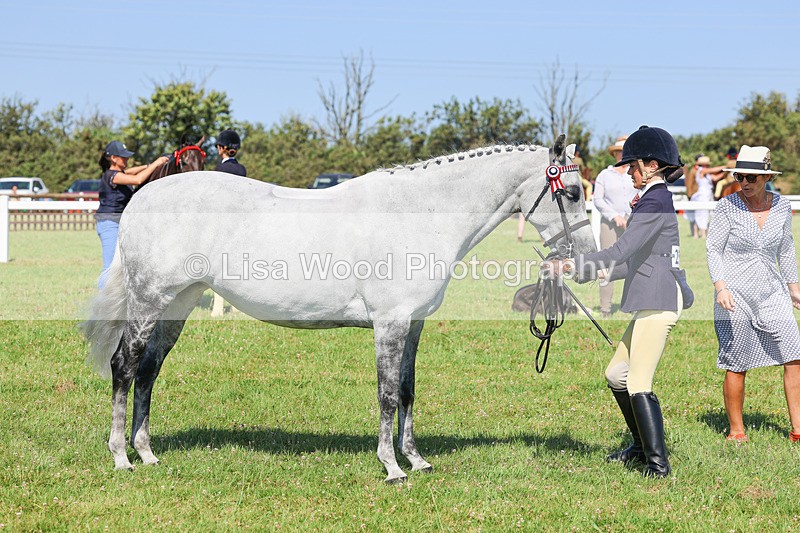 IMG_1952 - Class 33: Show Pony 148cm and under
