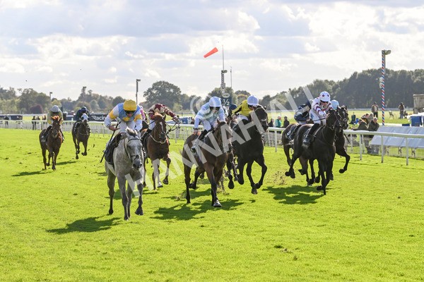 111024-Race 2-Mirabeau-1482 - Race 2 2.05pm British EBF £100,000 Final