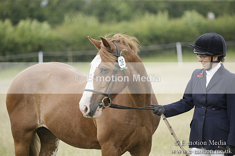 B230619-0482 - Bourne Valley Riding Club Summer Show 23/06/19