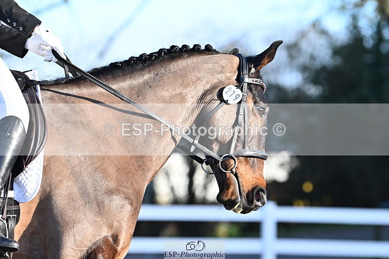 240218A-090154-04632 - 279-TILA.DA.COSTA-Leomiro