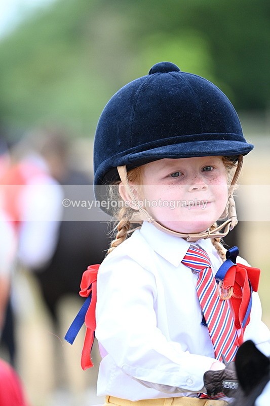 WJ7_8476 - Class 4 Prettiest Mare up to 14.2hh