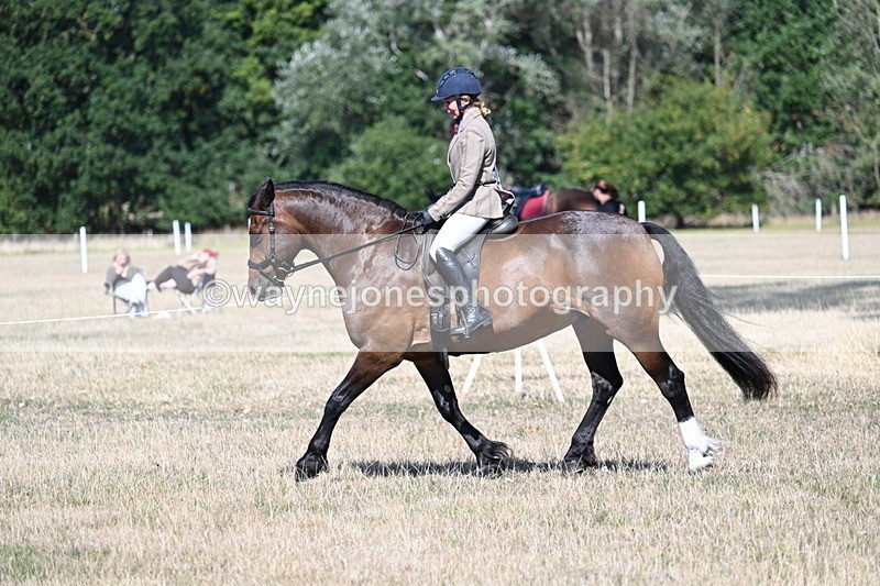 WJ7_3915 - Class 9 Mountain & Moorland Ridden
