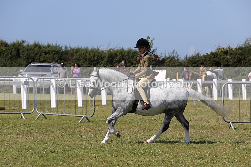 1X9A5374 - Class 37: NPS M&M First Ridden