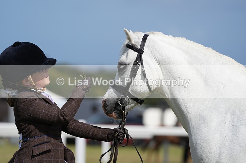 DSC07607 - Class 62: Child Handler