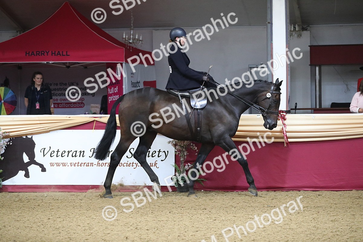 SBM_10338 - Class 102 Equitation (best rider) Adult