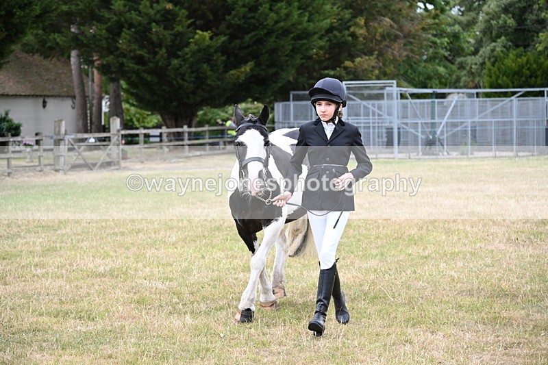 WJ6_4224 - Class 10 Coloured In-hand