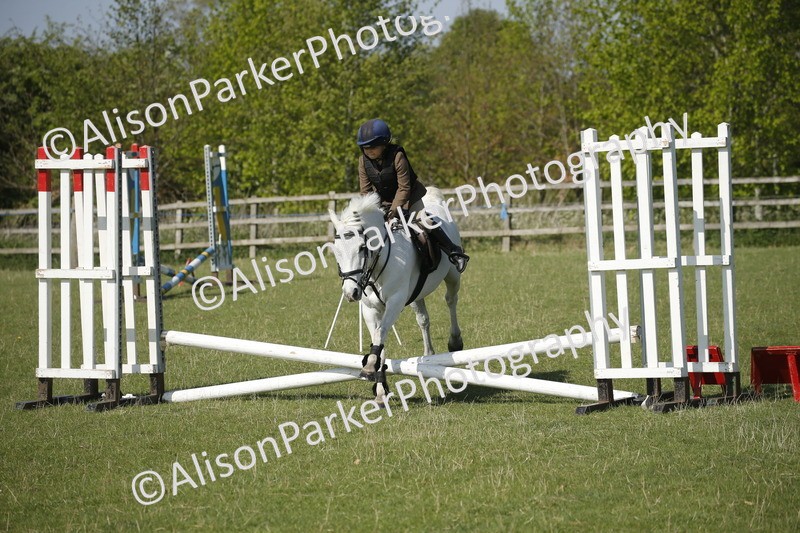 20250427-0433 - Class 12 - Rookie Jumping 40cm