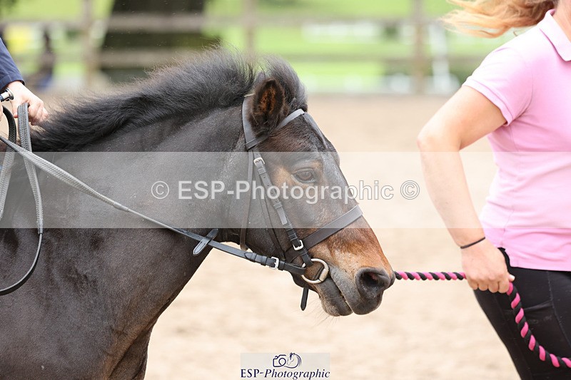 240822X-130237-06986 - 40cm LR R1 12.20 to 14.10