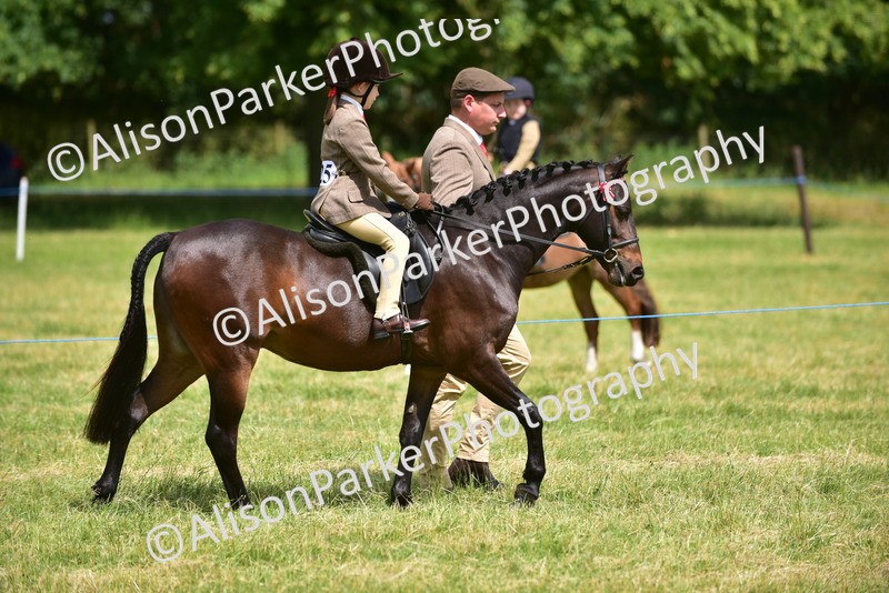 20260614-1355 - Class 11b - Lead Rein Pony (Plaited)