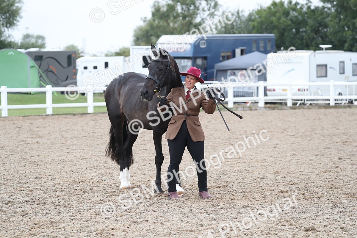 SBM_22561 - Class 604 - 2025 Area - IH Diamond