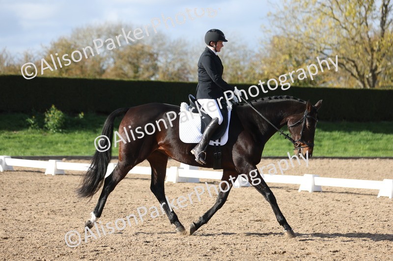 20251101-0599 - Class 4 - Novice 2