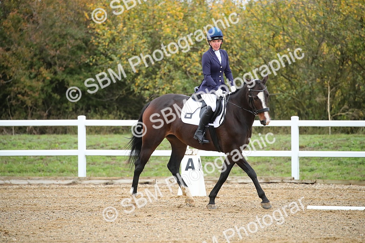 SBM_000421 - Intro 2