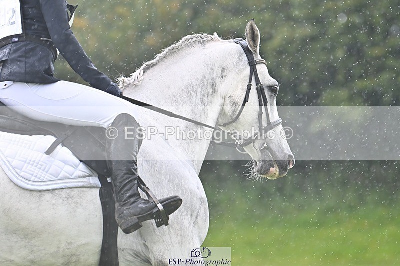 230826-113713-16999 - Sections A & B 10 to End