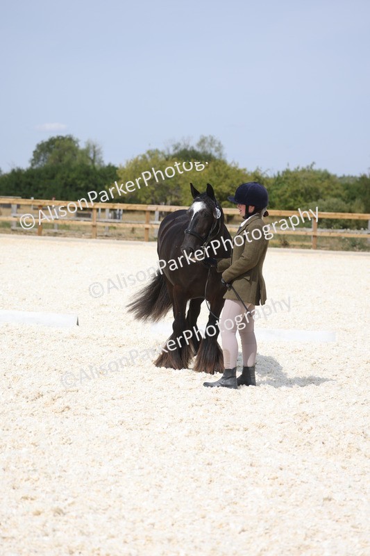 20260802-1501 - Class 16 - Best Horse or Pony