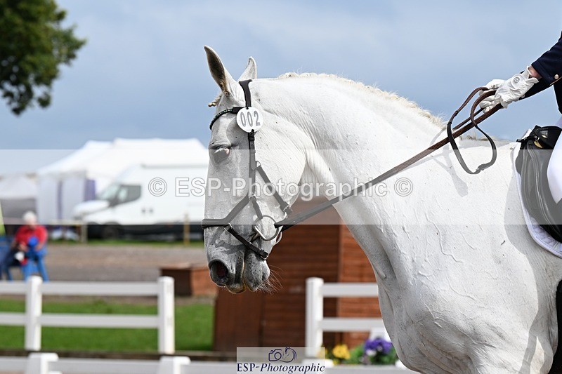 250907-131329-10017 - 002-Claire.JonesOwl.House.Rebel