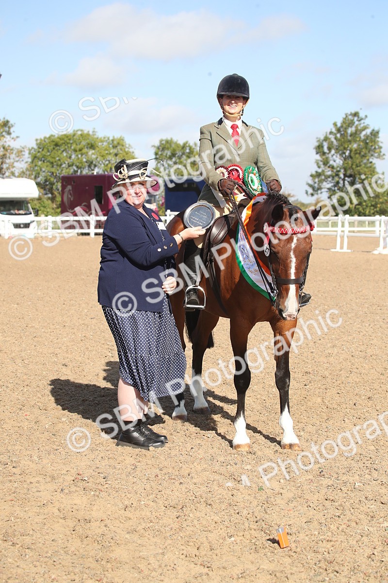 SBM_22736 - Class 601 - 2026 - Area - Ridden Diamond