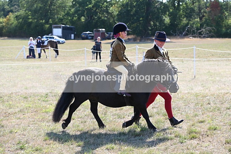 WJ6_7450 - Class 34 Judges Choice