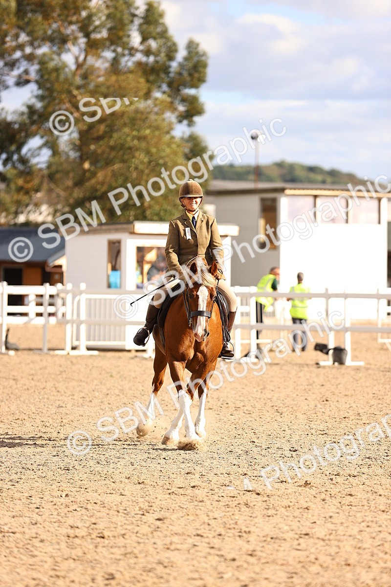 SBM_18258 - Class 423 - Equitation (best rider) Adult