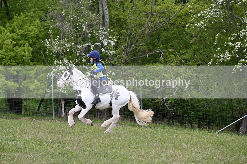 WJ6_1952 - Group 8 A&B Cameras