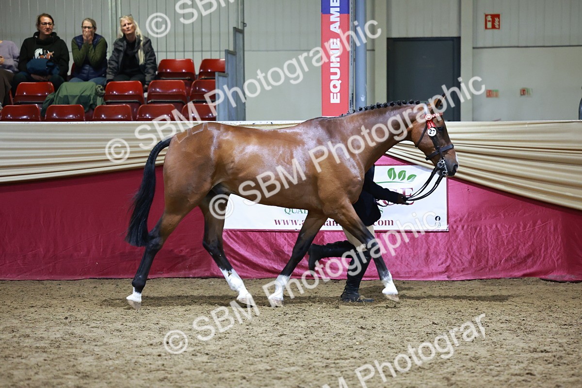 SBM_21512 - Class V - Champion of Champions