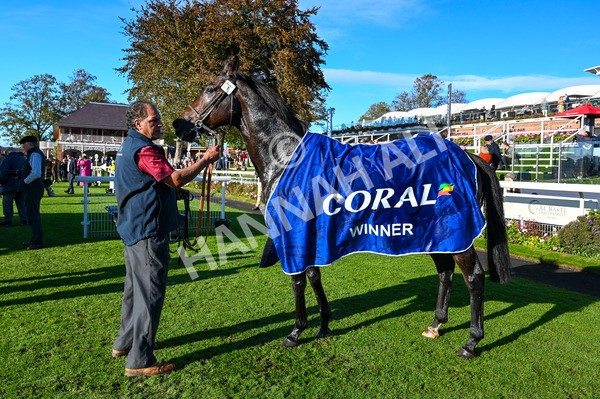 141023-Race 5-Certain Lad-9182 - Race 5 3.35pm Coral Racing Bet Bundles Handicap