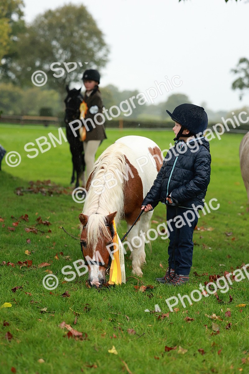 SBM_34936 - S10 - Best In Hand Horse & Pony