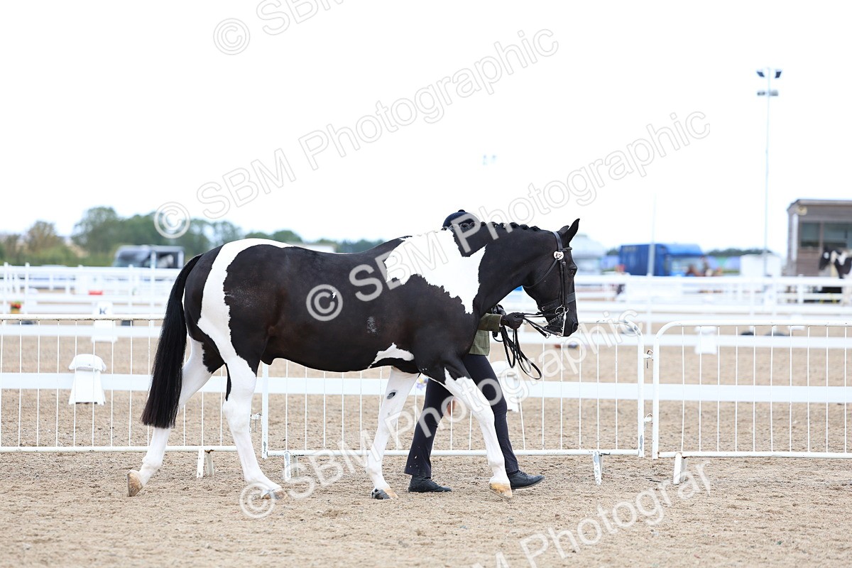 SBM_04983 - Class 27 - IH Competition Horse or Pony