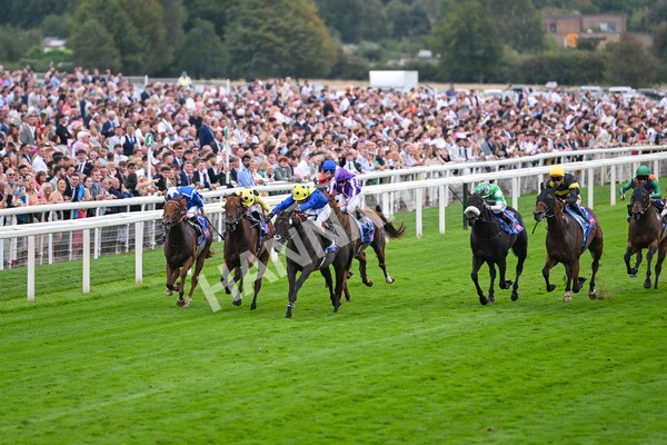 230825-Race 3-Never So Brave-0067 - Race 3 3.00pm Sky Bet City Of York Stakes