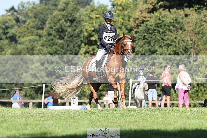 250823A-103839-27761 - Arena D