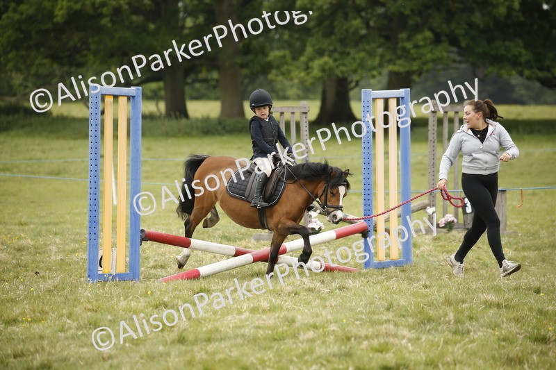 20250517-0075 - Class 1 - 30cm On Lead Rein
