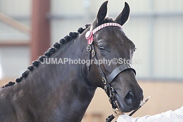 SIAL9342 - Indoor Classes