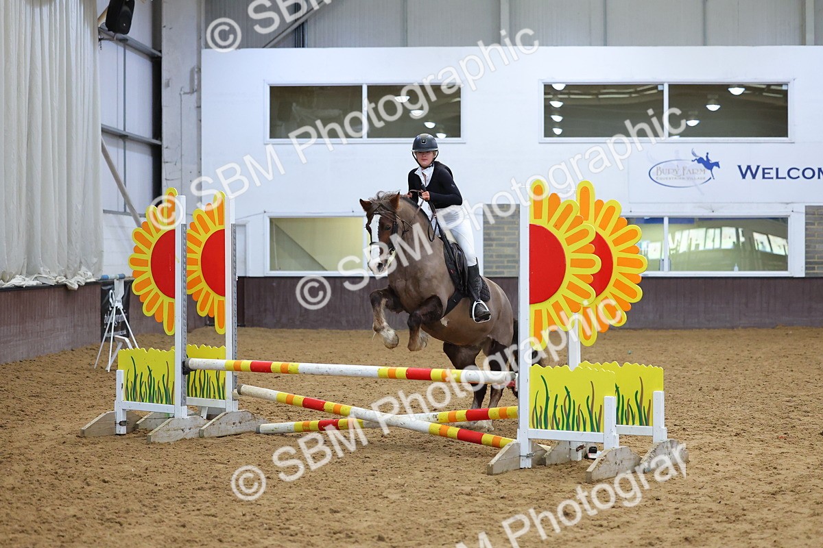 SBM_001008 - Class 5 - Pairs Jumping 80cm
