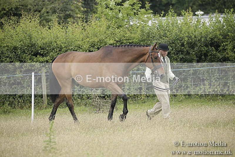 B230619-0245 - Bourne Valley Riding Club Summer Show 23/06/19