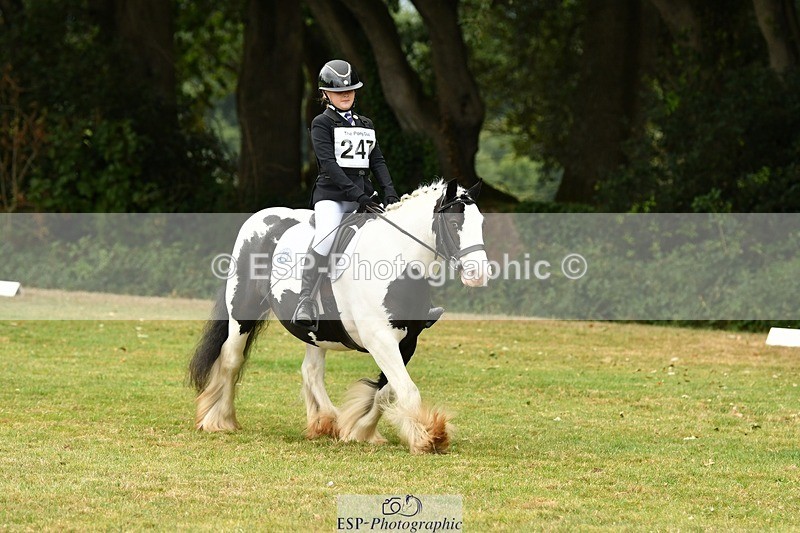 250820A-122541-05597 - 12 to 13.00