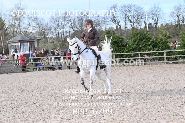 BPP_6799 - RING 1  (RIDDEN HORSES / IN HAND / VETERAN ETC)