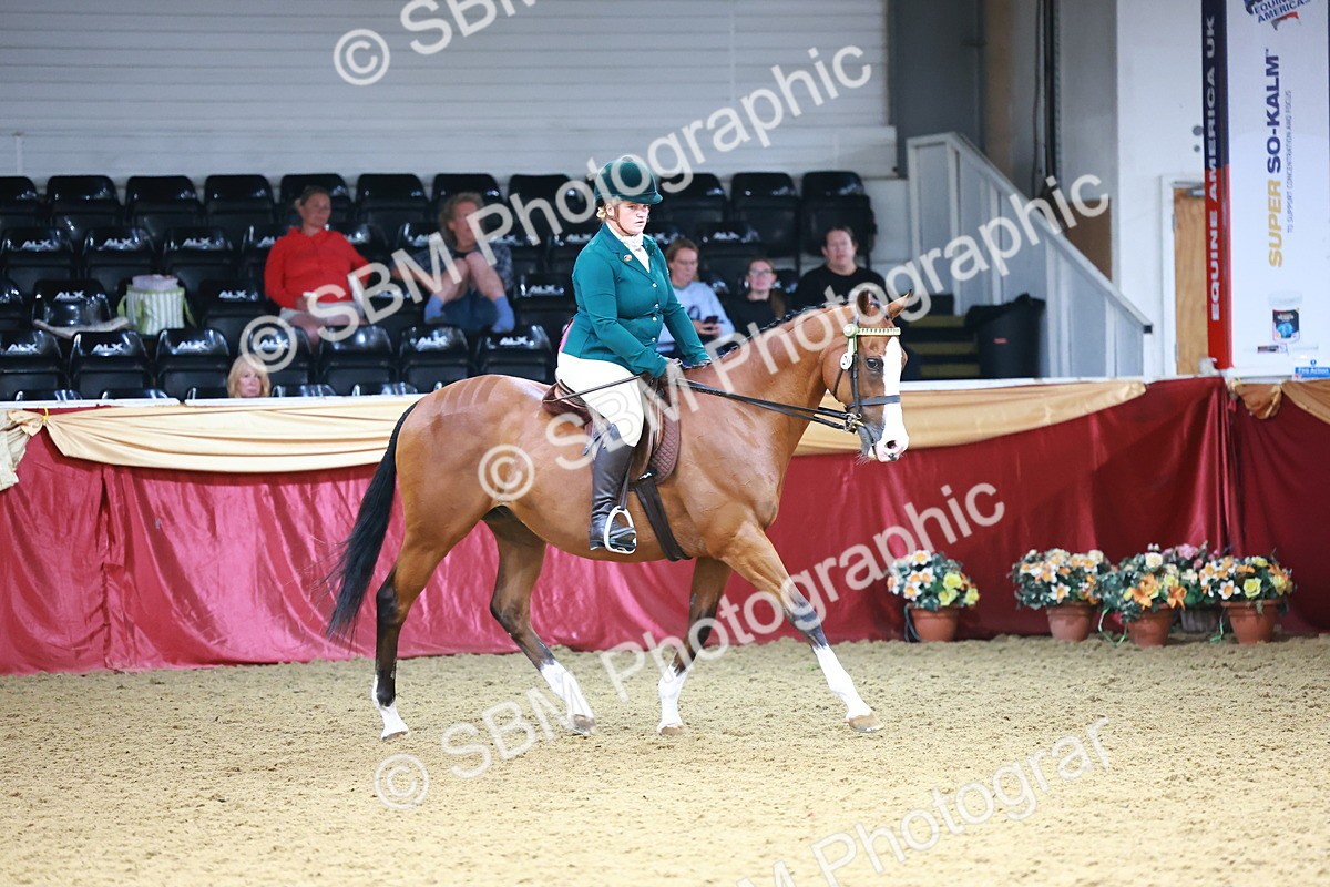 SBM_23804 - Class 905 - Supreme Final - Ridden Veteran