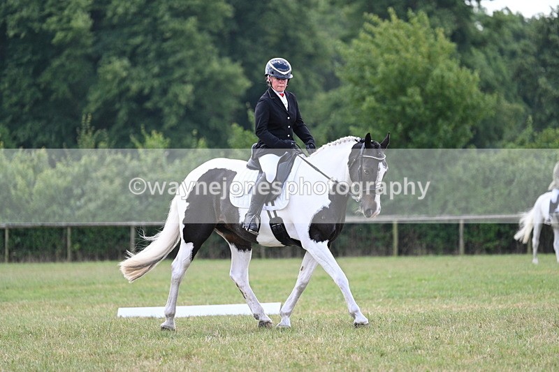 WJ7_5290 - Time 11:22 to 11:51