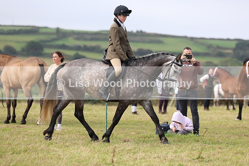 3E7A3927 - Class 4: Best Combination Open