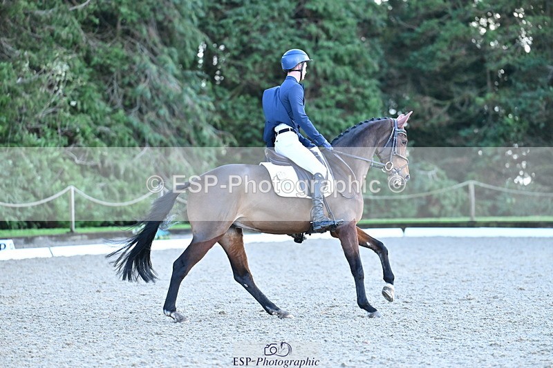 251023A-163846-05912 - A-017-Harrison.Chart