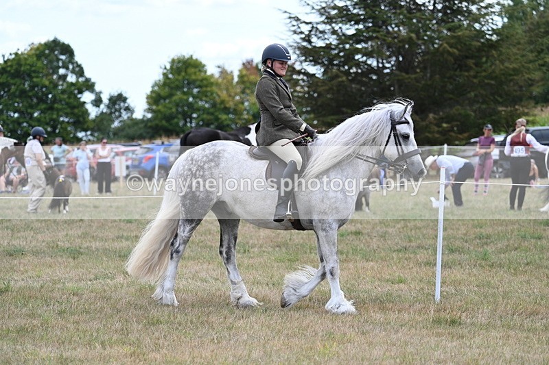 WJ7_4688 - Class 12 Ridden Cob