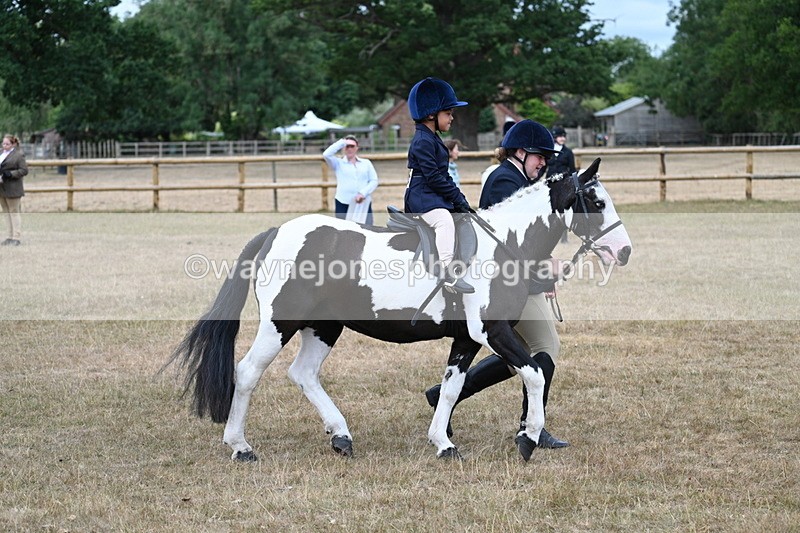 WJ7_6670 - Class 1 Lead Rein Pony