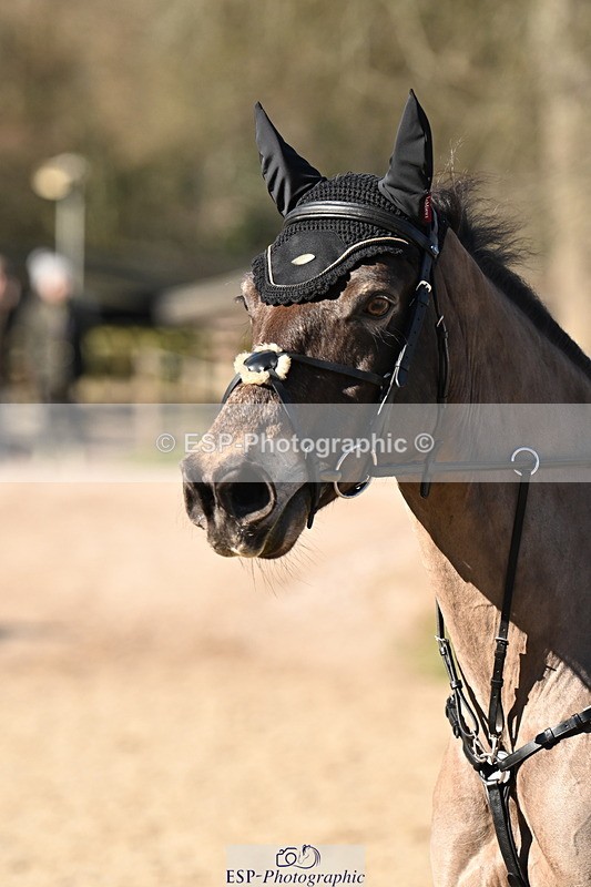 250302A-104221-01551 - Cls 01 70-75cm