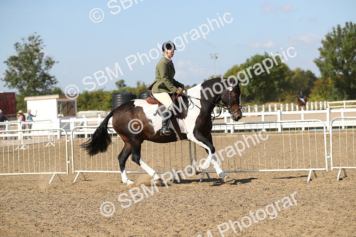 SBM_03143 - Class 44 Riding Club Horse/ Pony