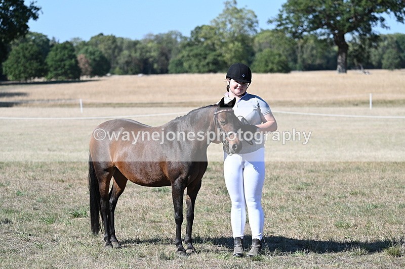 WJ7_2123 - Class 44 Child's Best Friend