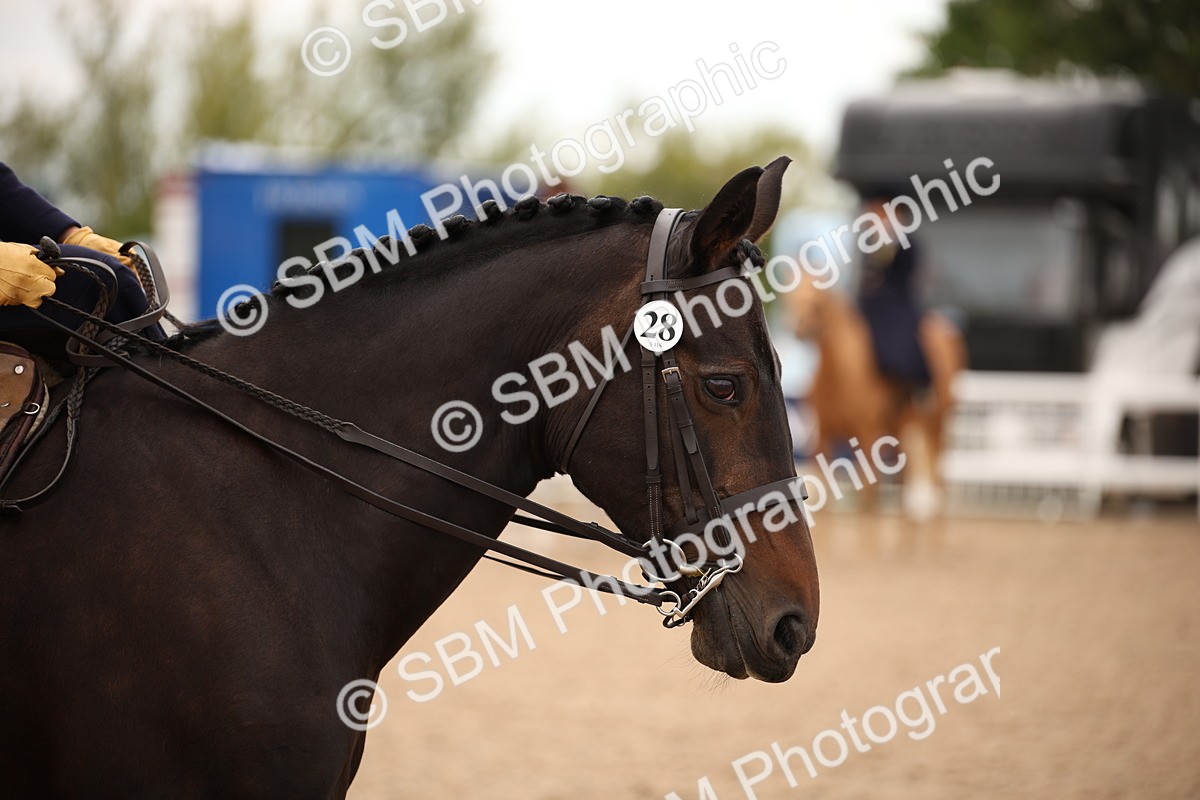 SBM_05448 - Class 22 SSA Equitation