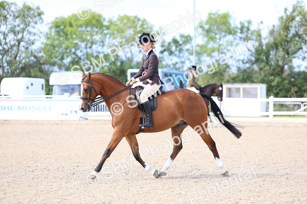 SBM_18864 - Young Rider Championship