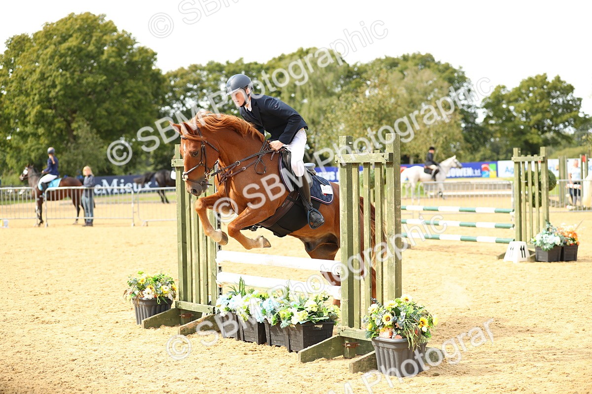 SBM_67242 - J17 - Junior Pony 80cm Championship